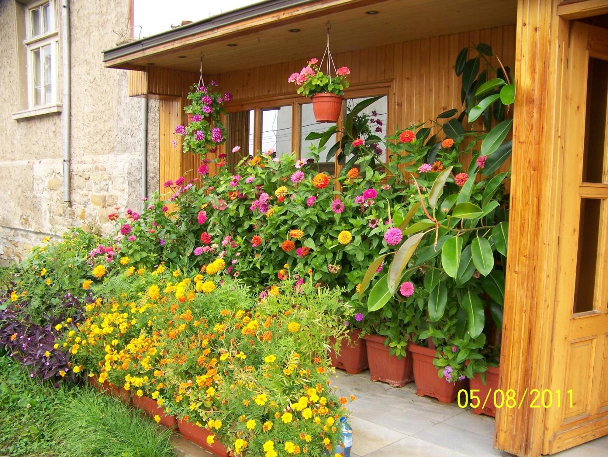 Hotel Comfort Veliko Tarnovo Extérieur photo